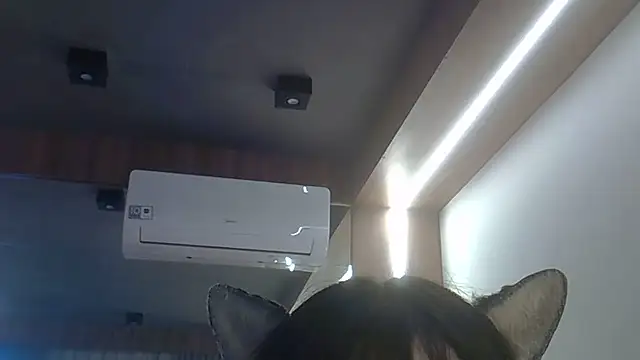 Show de webcam de SkinnyKitten
