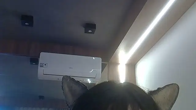 SkinnyKitten 现场XXX聊天