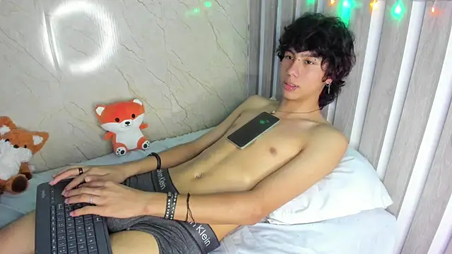Show webcam de sckrapper
