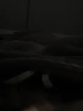 pollgorda10 webcam show