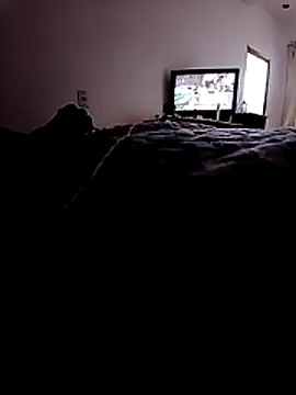 Show de webcam de pequenohomem