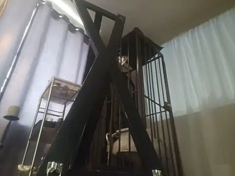 yourMasterisBored Live XXX-chat