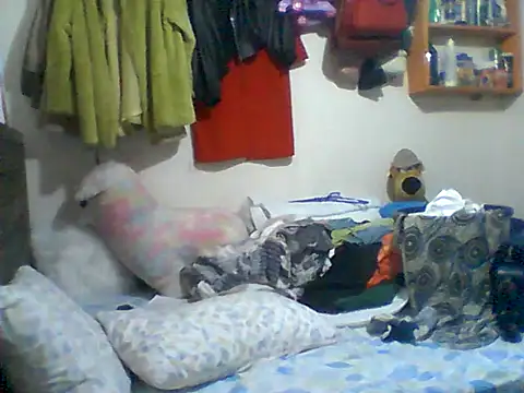 Chat XXX ao vivo de Ladysweetness23