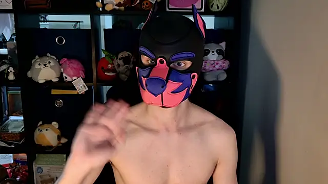 MellPUP webcam show