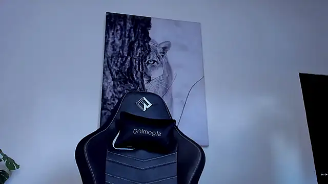 دردشة Santos_ramirez1 الجنسية المباشرة