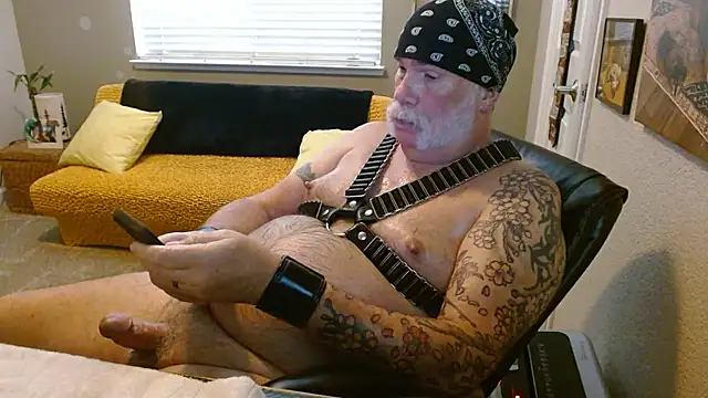 دردشة musclebearnips الجنسية المباشرة