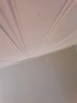 Dahbiggest91's Live XXX Chat