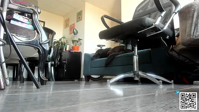 seijaku_ Adlı Modelin Canlı XXX Sohbeti