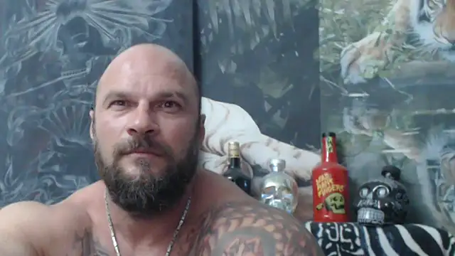 Czat XXX na żywo – viking_30