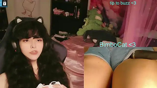 دردشة BimboCat الجنسية المباشرة