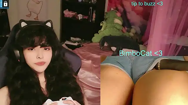 BimboCat – Naživo XXX chat