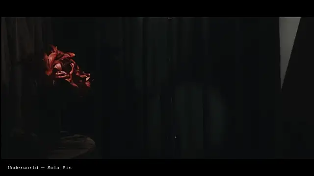 Živý XXX chat WebCora