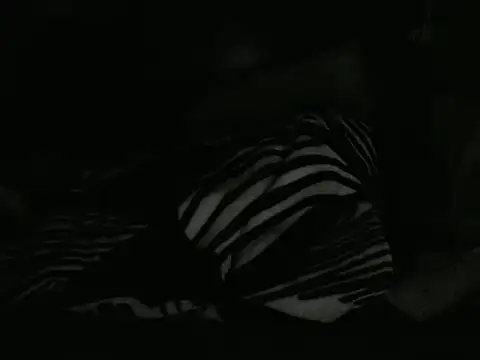 Živý XXX chat LONGBLKCLIT36