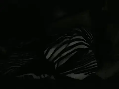 Czat XXX na żywo – LONGBLKCLIT36