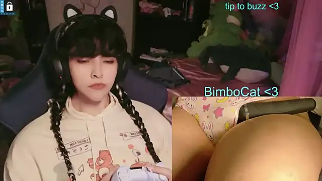 BimboCat লাইভ XXX চ্যাট