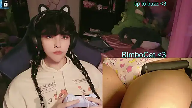 BimboCat Live XXX Chat