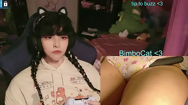 BimboCat Obrolan Langsung XXX