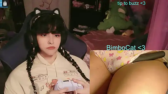 Chat +18 de BimboCat ao vivo