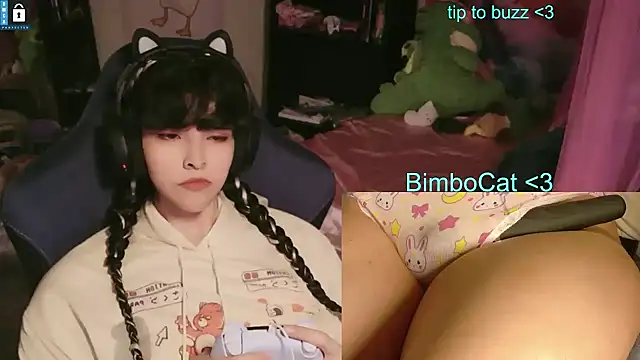دردشة BimboCat الجنسية المباشرة