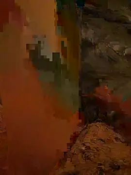 nonsidic Show in webcam