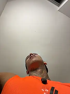 sendfer 라이브 XXX 채팅