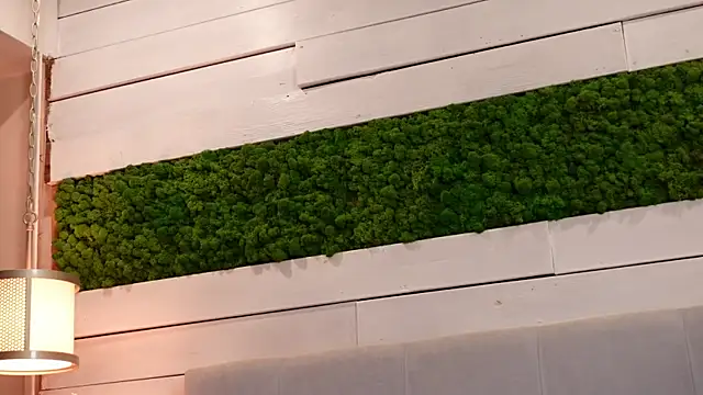 Živý XXX chat IsabellaMysty