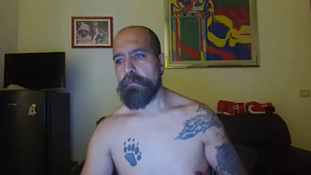 AMIRDIB2025 élő XXX-chatje