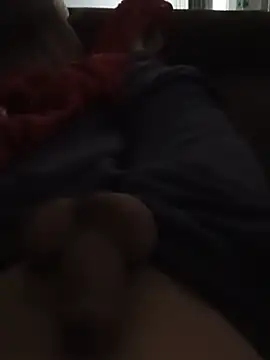 CasosAMn Webbikameraesitys