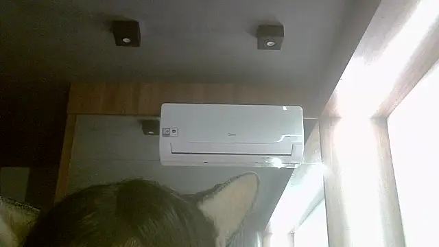 Show de webcam de SkinnyKitten