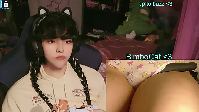 BimboCat élő XXX-chatje