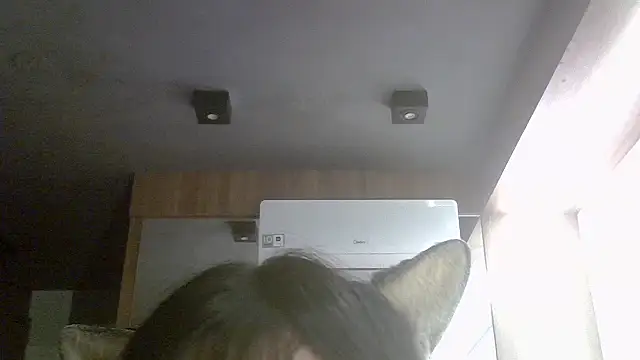 SkinnyKitten – Live XXX-chat