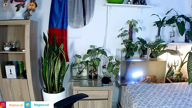 Magnuz_Col: онлайн-секс-чат