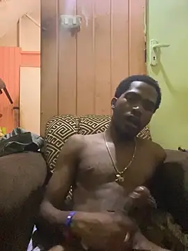 Show Webcam de UNCUTKING10inch
