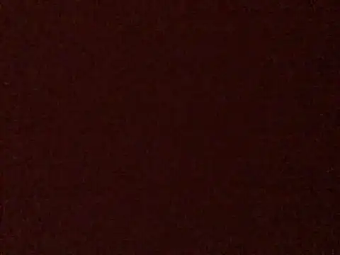 Show webcam de Nodsride