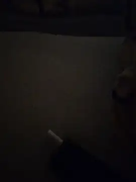colin1277 Show in webcam