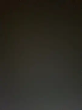 TheDimen Live XXX chat