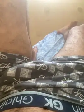 heromano11n Webbikameraesitys
