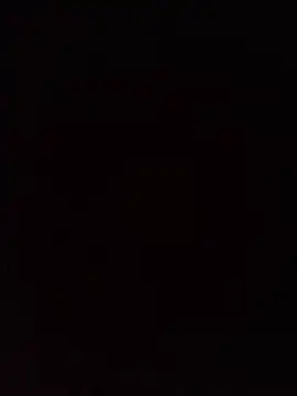 Show webcam de farsmc