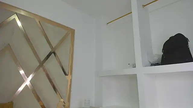 צ'אט XXX בשידור חי של mitch_asm