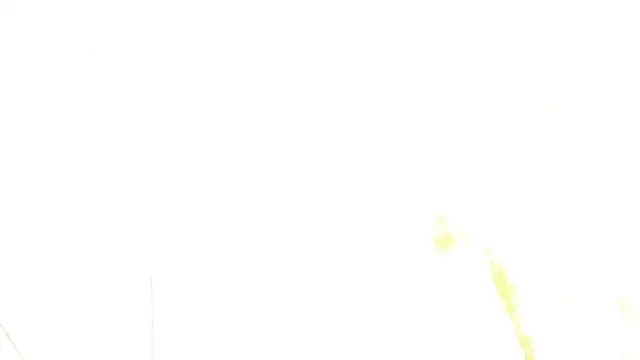 Chat +18 de bonieklent ao vivo