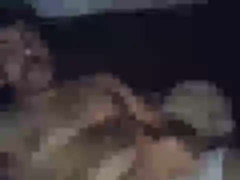 Chat +18 de BrunoAlphaBR ao vivo