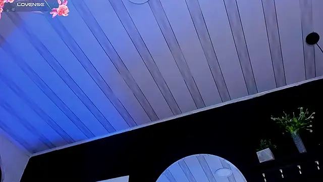 Noaah25_ 라이브 XXX 채팅