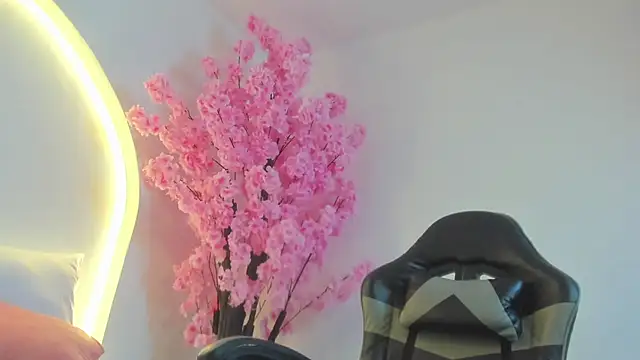 Živý XXX chat alondra_bernet