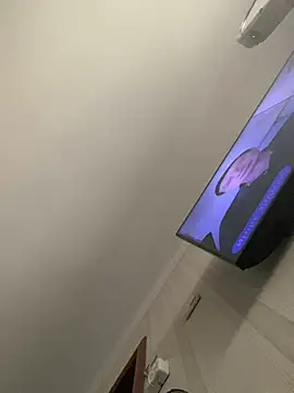 Frosl 即時 XXX 聊天