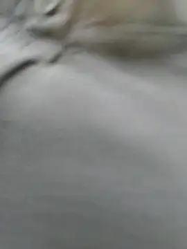 Love-public 라이브 XXX 채팅