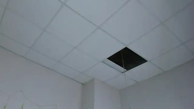 EricaElliott Live XXX-chat