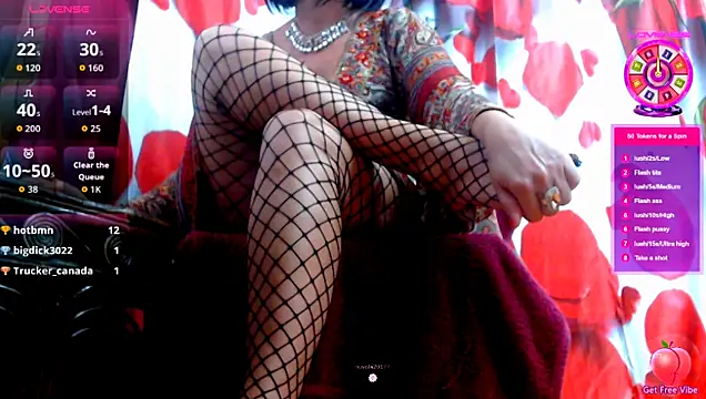 Show de FUN4TIPS na webcam