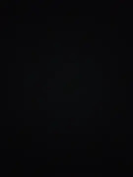 Alpha040 Show Webcam