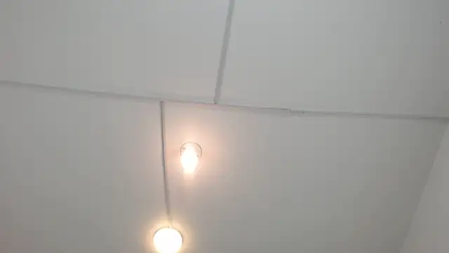 PhillipCox's Live XXX Chat