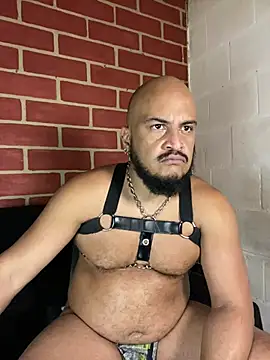 the_master_foal_ Live XXX-chat